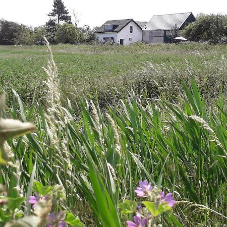 In De Boomgaard Burgh-Haamstede Exterior foto