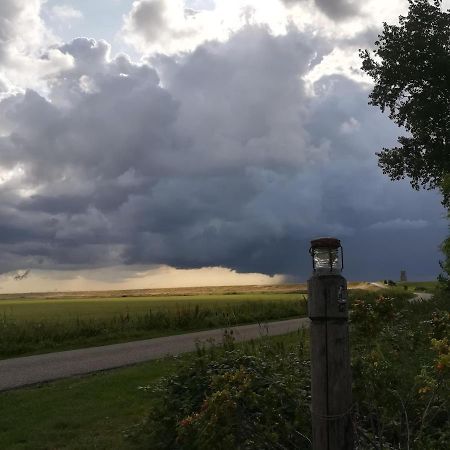 In De Boomgaard Burgh-Haamstede Exterior foto