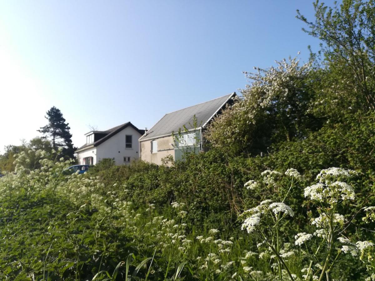In De Boomgaard Burgh-Haamstede Exterior foto